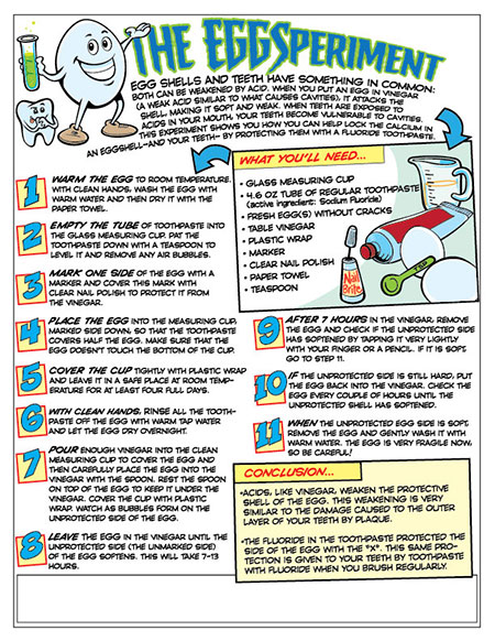 EggSperiment Activity Sheet